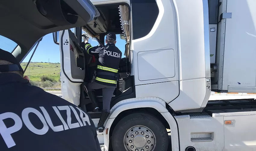 truck and bus
