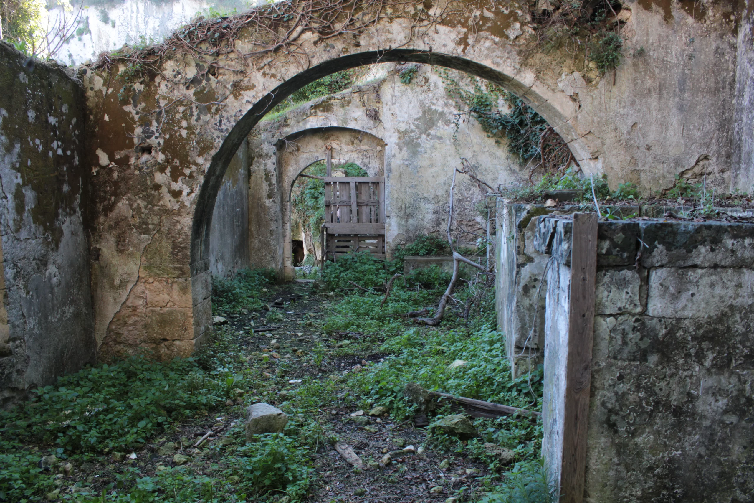 Le acque del Cardinale e il mulino di Passo delle vacche