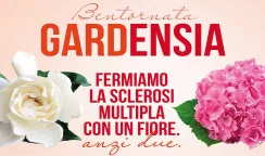 gardenie