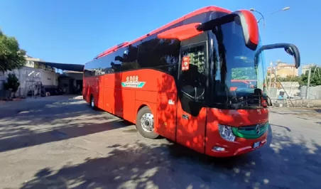 bus
