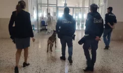 controlli