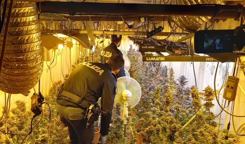 Bunker sotterraneo in una casa di campagna per la coltivazione e l’essiccazione della marijuana