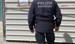 caccia