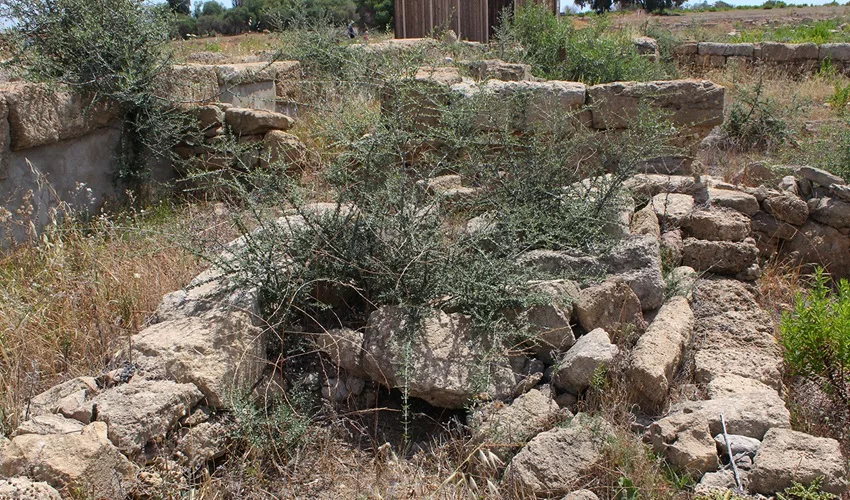 Megara Iblea: incuria e desolazione in barba al Codice dei Beni Culturali