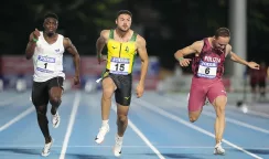 matteo melluzzo