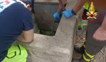 Vincenzino morto in un pozzo a Palazzolo Acreide: il 14 gennaio l'udienza preliminare 1 vincenzino