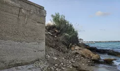 ex lido