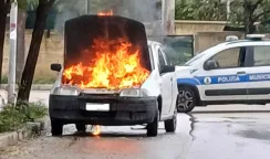 auto