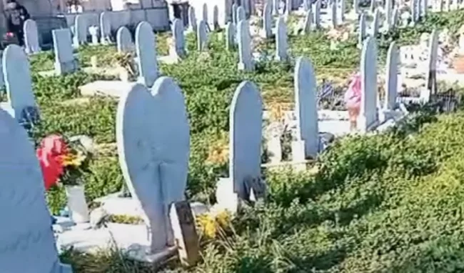 cimitero