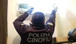 In casa cocaina e marijuana: 24enne denunciato cocaina