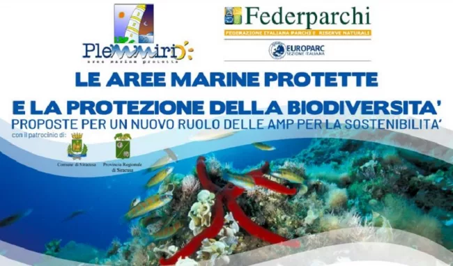 aree marine