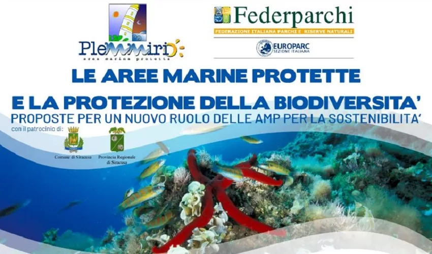 aree marine