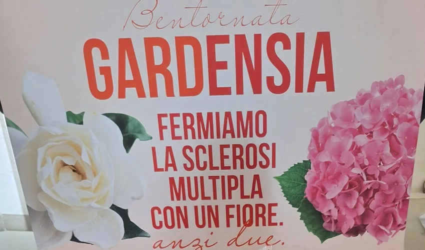 gardensia