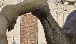 fontana di diana