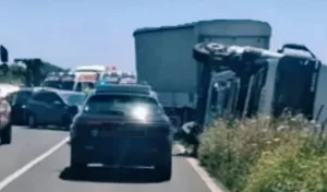 autoarticolato