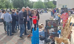 economia