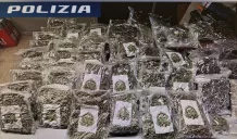 marijuana