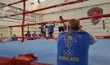 palestra