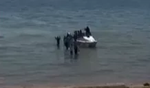 migranti