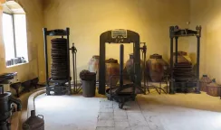 museo