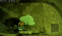 rifiuti