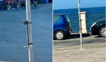 cestini gettacarte