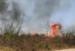 incendio