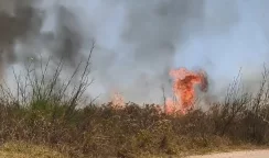 incendio