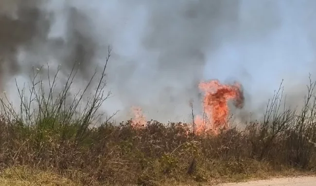 incendio