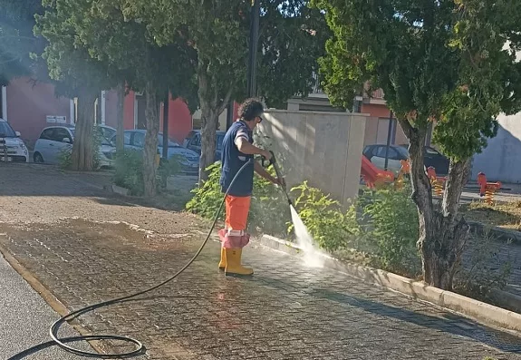 Sospetti bocconi avvelenati nella zona di piazza Santa Lucia a Floridia