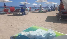 articoli