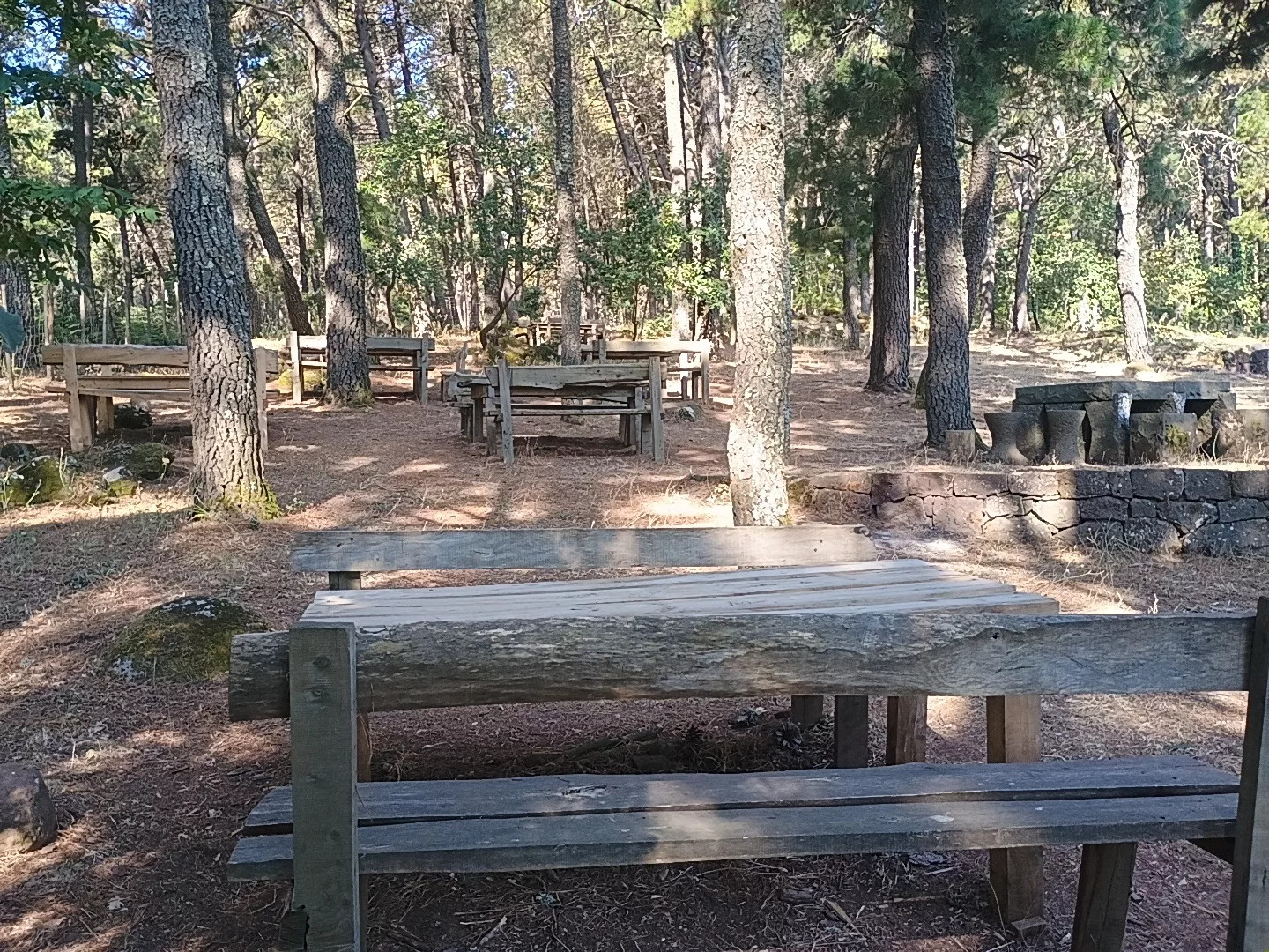 Una passeggiata al “Bosco della Contessa”