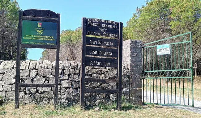 bosco della contessa