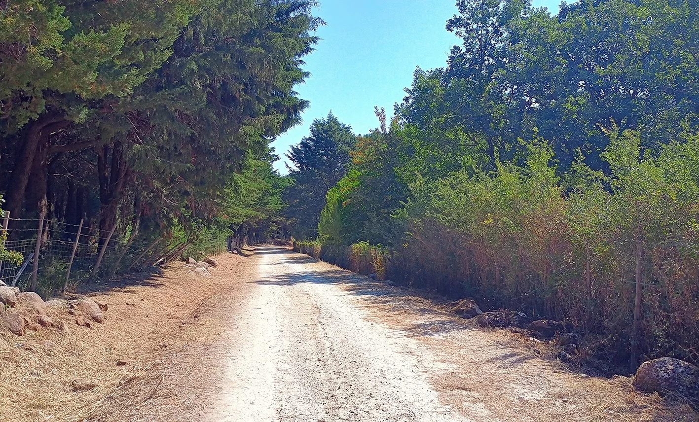 Una passeggiata al “Bosco della Contessa”