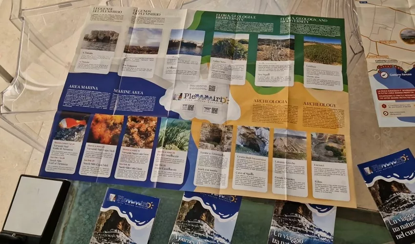 brochure