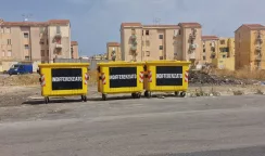cassoni