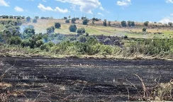 incendi