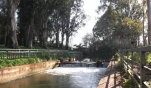 riserva