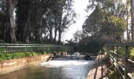 riserva