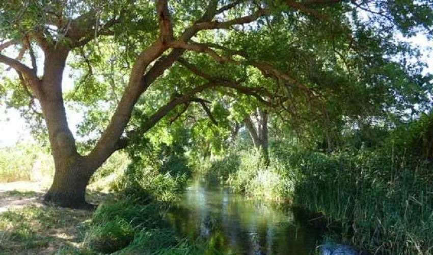 riserva