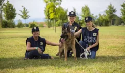Guardia zoofila dell'Oipa: aperte le iscrizioni ai corsi anche in provincia di Siracusa guardia zoofila