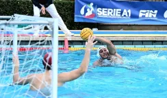 pallanuoto