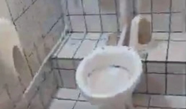 bagni pubblici