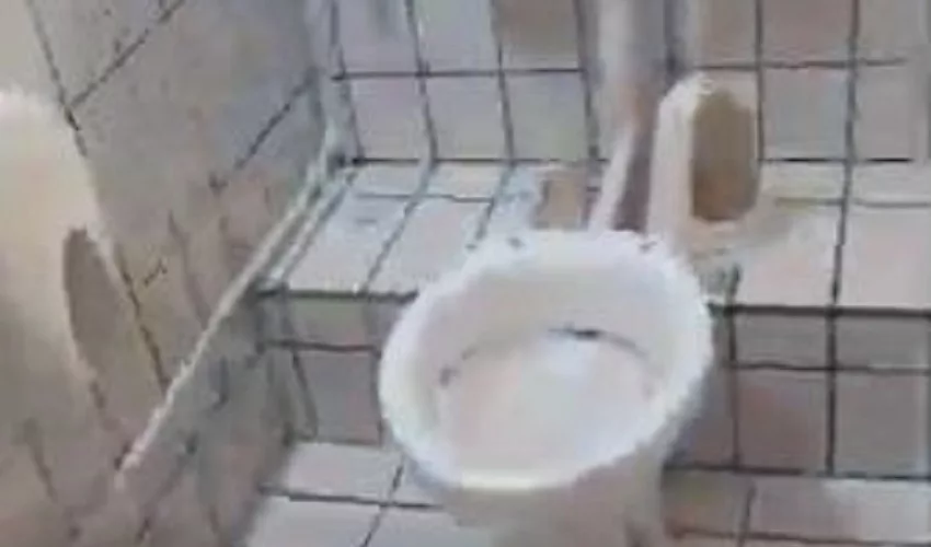 bagni pubblici