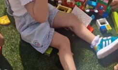 garante