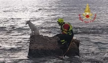 Cane bloccato su un frangiflutto alle spalle via Dionisio il Grande: salvato dai Vigili del fuoco 1 frangiflutto
