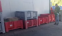 Intensificati i controlli ai frantoi oleari della provincia di Siracusa 1 frantoi