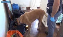 Blitz antidroga in via Santi Amato: 3 arresti 4 via santi amato