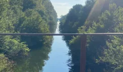 Riserva Ciane Saline, Giansiracusa: "Il 1° dicembre la convocazione del Tavolo Tecnico Permanente" tavolo