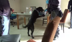 Servizio interforze ad “alto impatto” a Pachino, Portopalo e Marzamemi servizio